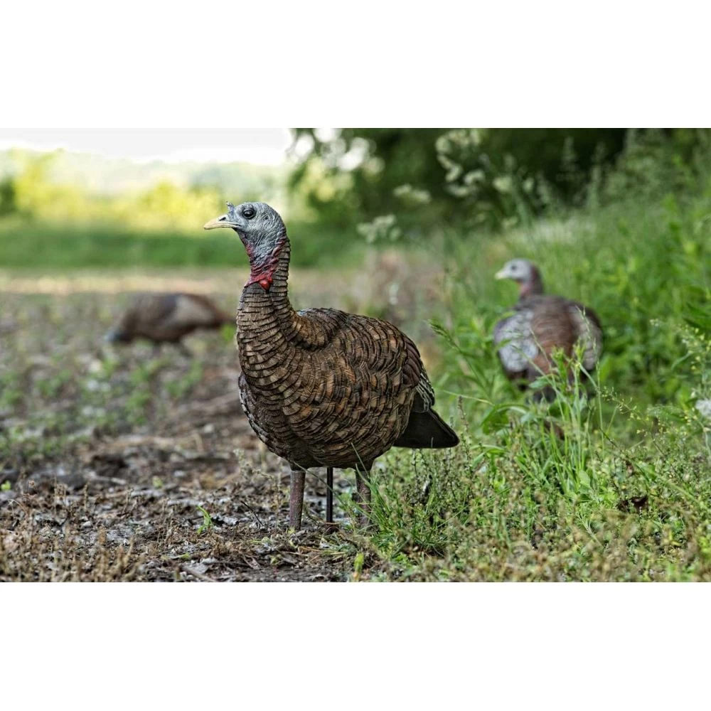 Avian-X LCD Lookout Hen Turkey Decoy 3 Avian-X LCD Lookout Hen Turkey Decoy - Image 3