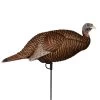 Flextone Thunder Chick Breeder Hen Turkey Decoy