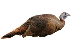 Montana Decoy Spring Fling Turkey Decoy