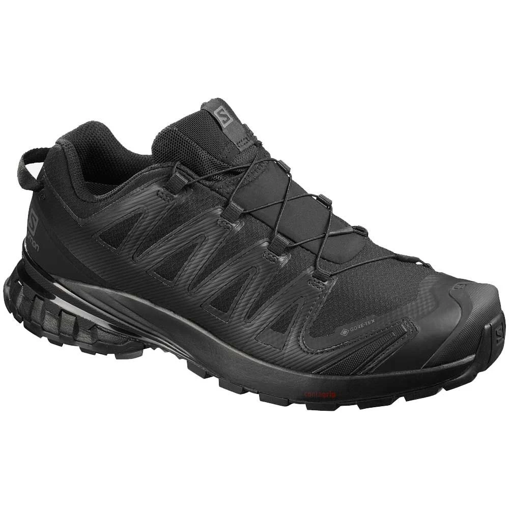 Salomon XA Pro 3D V8 GTX Hiking Shoes 1 Salomon XA Pro 3D V8 GTX Hiking Shoes