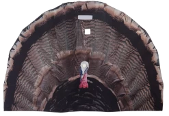 Killer Gear TurkeyFan Collapsible Turkey Decoy